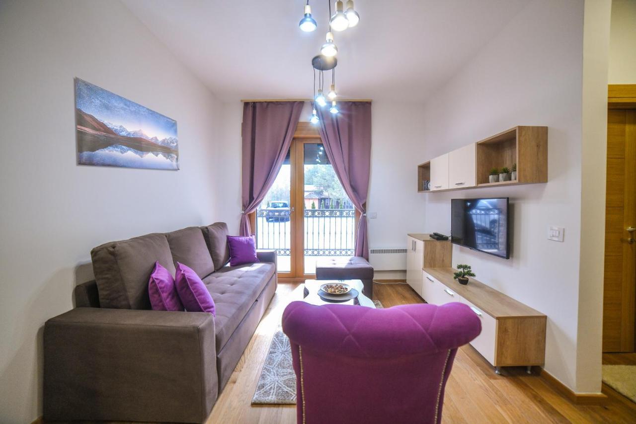 Vila Elsa Apartmani Kosta Todorovic Zlatibor Exteriör bild